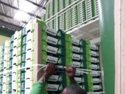Togo : A cause du COVID-19, 41% des entreprises consultées ont dû suspendre leurs activités