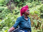Le Togo se fixe de nouveaux objectifs au Programme régional d’identification en Afrique de l’Ouest