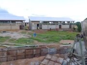 Togo : 400 000 000 FCFA pour 3 nouveaux abattoirs modernes dans les villes d’Atakpamé, de Niamtougou et de Dapaong