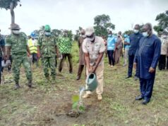 Le Projet de reboisement et de restauration des paysages forestiers dans les 39 préfectures du Togo lancé à Blitta