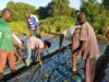 Togo : Plus de 8000 hectares de terres agricoles dans les 5 régions économiques bientôt dessouchés