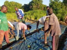CEDEAO/West African Initiative for Climat-Smart Agriculture « WAICSA »: La date limite de dépôt des offres prorogée