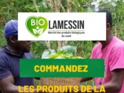 Togo : « Biolamessin », le nouveau marché des produits biologiques