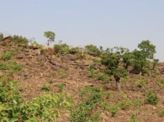 Togo : 112 projets soutenus par le PMF/FEM à hauteur de 1 milliard 700 000 000 FCFA