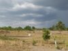 AGROPOLE DE KARA : Des résultats tangibles au 1er trimestre 2022
