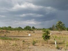 AGROPOLE DE KARA : Des résultats tangibles au 1er trimestre 2022