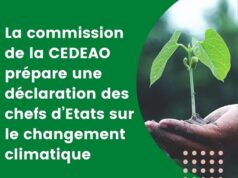 Lutte contre les changements climatiques : Un projet de déclaration des chefs d’États en gestation
