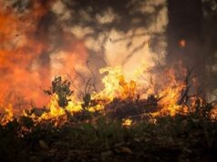 Togo : L’édition 2022 de la campagne nationale de lutte contre les feux de végétation lancée à Kévé
