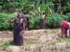 Afrique: Les femmes peuvent-elles bénéficier des emplois verts ?