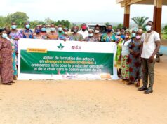 Togo-ONG SALUT : 30 aviculteurs appuyés pour former sur l’élevage des volailles améliorées