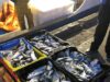 Togo /Pêche illégal : 1 navire et 4 pirogues déroutés sur le Port de Lomé