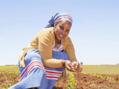 Le programme TERSAA veut apporter un appui à la transition agro écologique au Togo